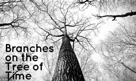 Branches on the Tree of Time