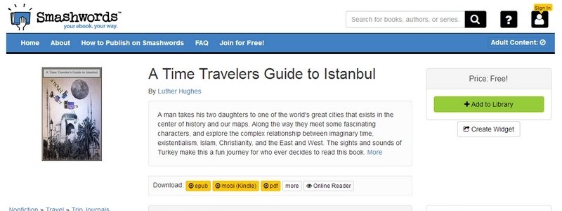 A Time Travelers Guide to Istanbul by Luther Hughes 