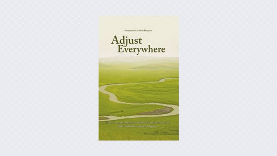 Adjust Everywhere