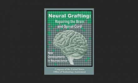Neural Grafting: Repairing the Brain and Spinal Cord