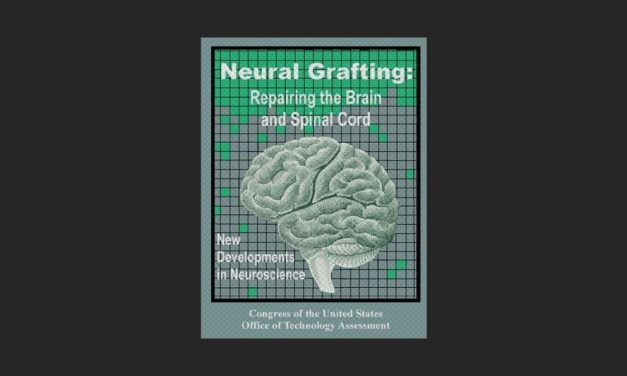 Neural Grafting: Repairing the Brain and Spinal Cord