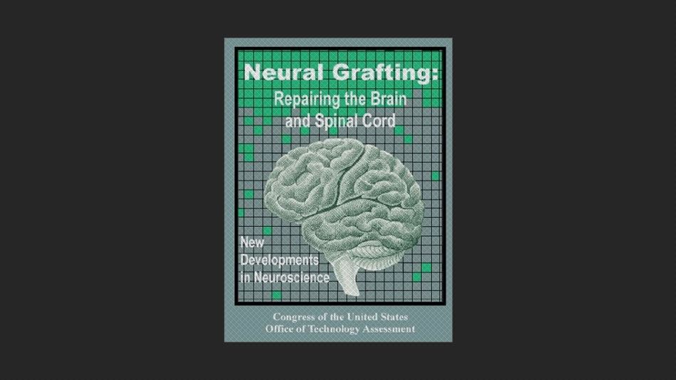 Neural Grafting: Repairing the Brain and Spinal Cord