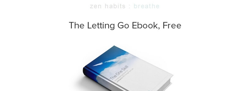 The One Skill: How Mastering the Art of Letting Go Will Change Your Life by Leo Babauta
