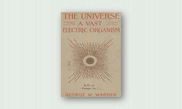 The Universe A Vast Electric Organism