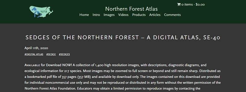 Sedges of the Northern Forest - A Digital Atlas