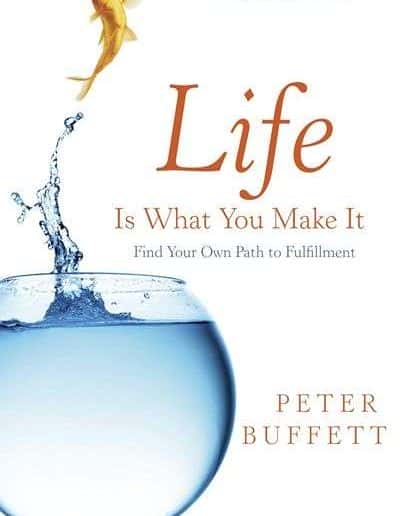Life Is What You Make It by Peter Buffett